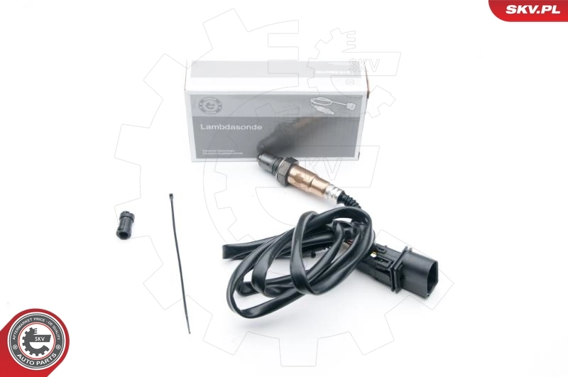Oxygen Sensor